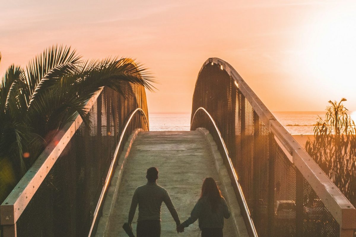 shea-rouda-mRQk1B4OM0k-unsplash (1)